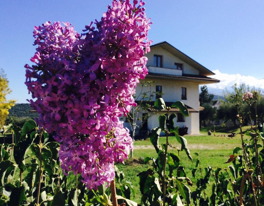 Alanno House | Agriturismo Le Terre d'Abruzzo Country House
