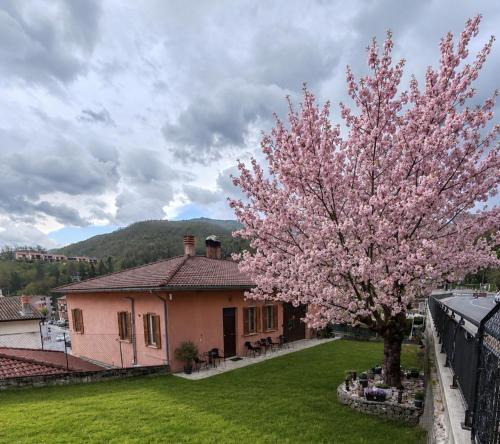 Cascia Apartment | B&B Il Tralcio