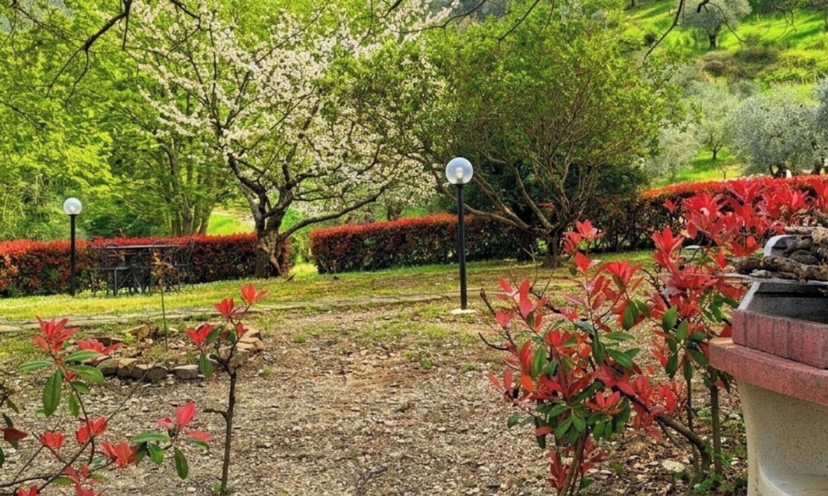 Montebonello Apartment | Beautiful apartment for 5 guests with WIFI, private pool and pets allowed