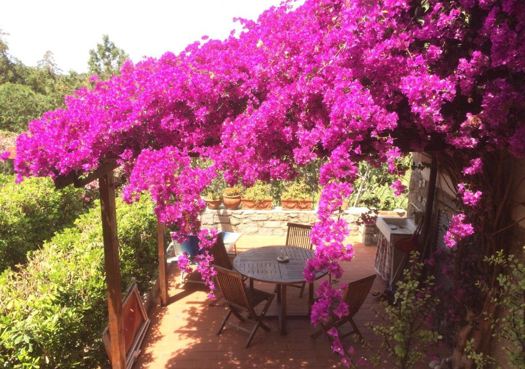 Campo nell'Elba House | Buganville apartment