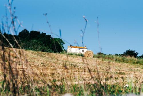 Casoli House | Casa di campagna, pace e natura, sotto la Maiella - Agricasa Caprafico