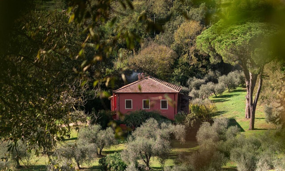 Poggio Cottage | Enveloping natural atmosphere, enjoy it with your loved ones.
