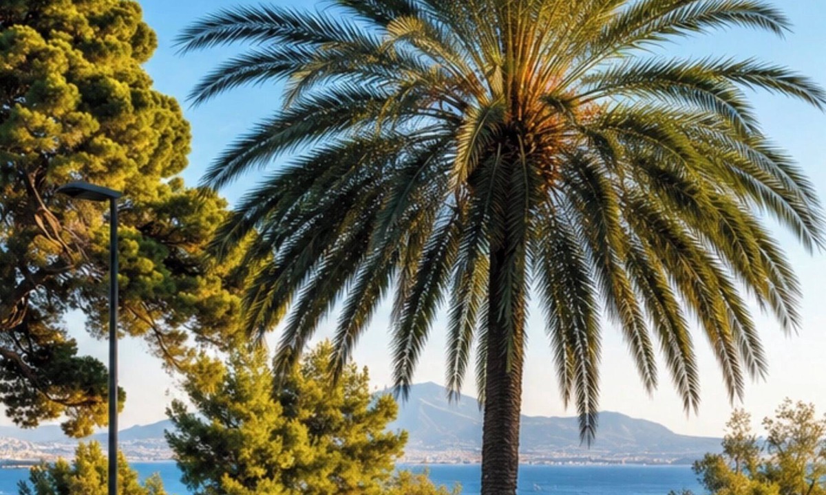 Posillipo Apartment | Luxury beachfront apartment