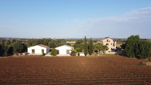 Syracuse House | Orecchie di Lepre