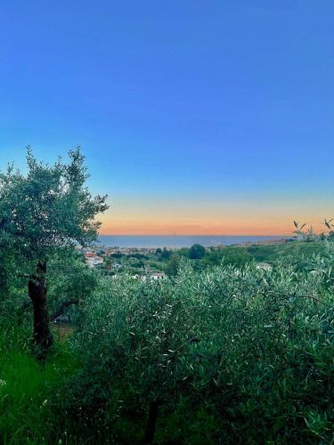 Formia Apartment | Peaceful Sea-View in A Formia Retreat