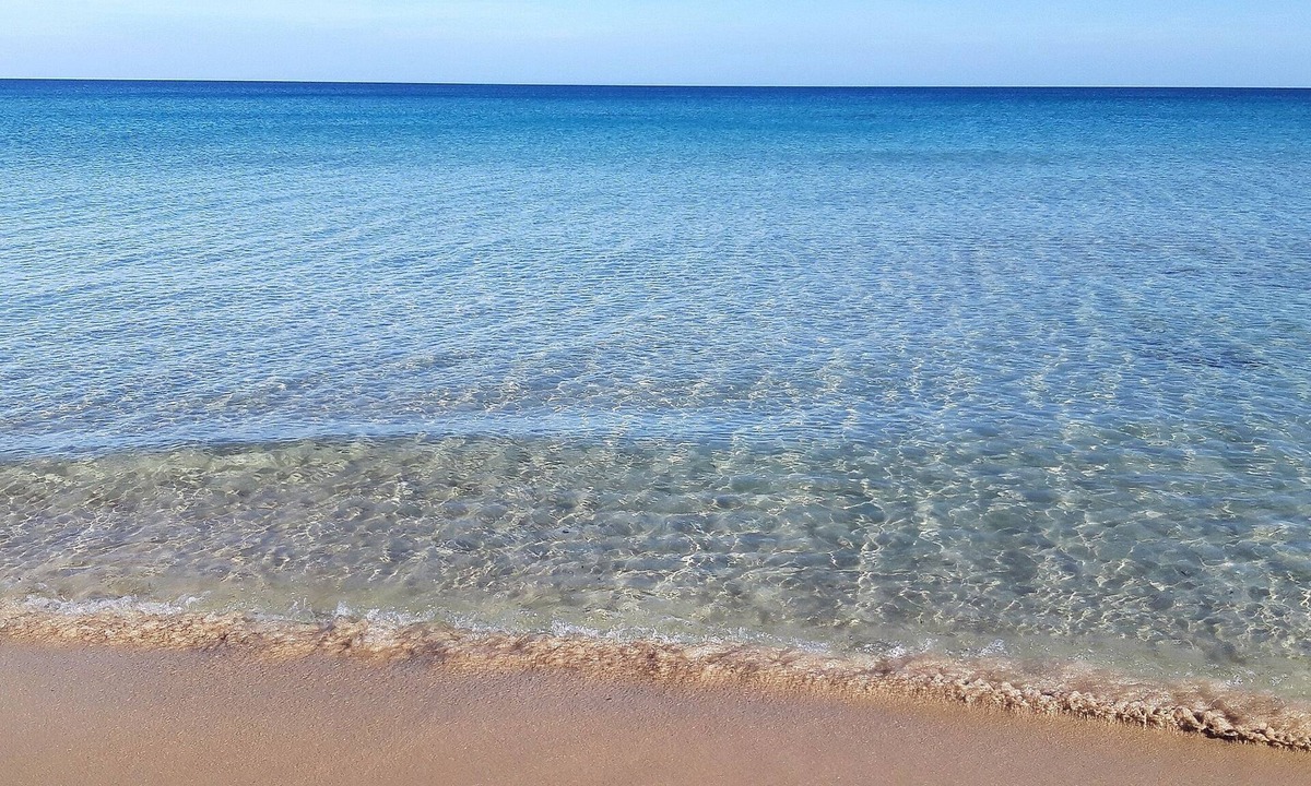 San Lorenzo Cottage | SAN LORENZO BEACH COTTAGE