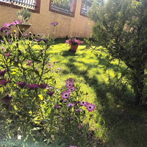 Spoltore Apartment | Villa Vanessa