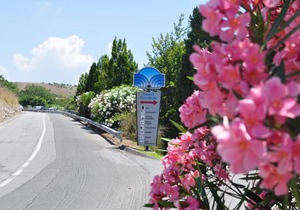 Club Residence Pianetamaratea