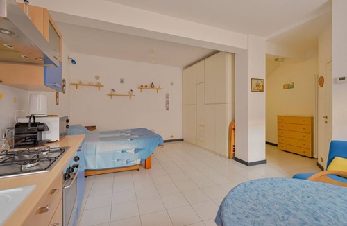Manarola Apartment | A comfortable 37 sq m studio apartment, perfect for two people but capable of accommodating up to four guests, located in the basement of a building without an elevator (steps required).The property is located in Manarola, one of the most picturesque vil