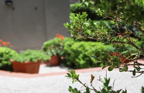Chiaia Apartment | Appartamento con giardino a Mergellina by Wonderful Italy