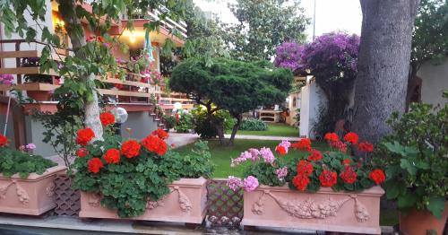 Ostia Antica Bed & Breakfast | B&B Domus Gratiae