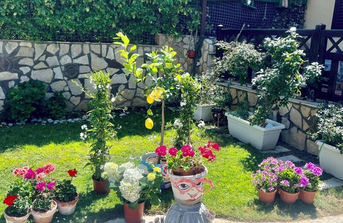 Villa Grazia di Carini House | Beach house near the airport with possibility of electric car