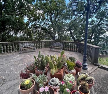 Soriano nel Cimino Apartment | Casa Anna Maria
