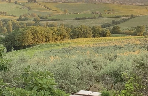 Pietrauta Apartment | Cosy apartment for 4 guests with pool, WIFI, patio, panoramic view and parking, close to Spoleto