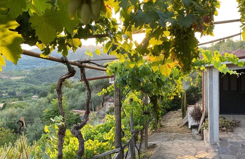 Olevano Romano House | Cozy home in Olevano Romano with WiFi