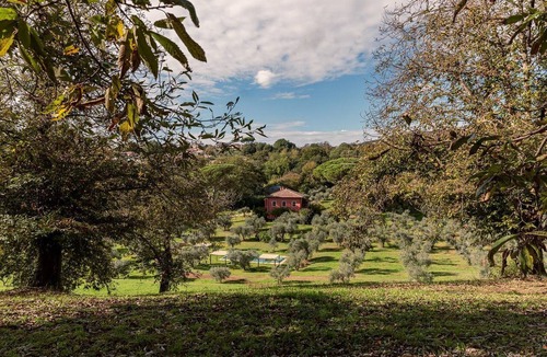 Poggio Cottage | Enveloping natural atmosphere, enjoy it with your loved ones.
