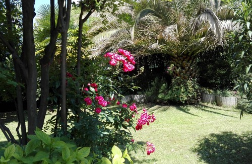 Riva del Garda Apartment | Flat with terrace, quiet and sunny,2 bike, air cond,bike storage