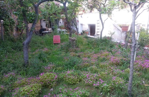 Prenestino-Centocelle Apartment | GARDEN ROOM metro C-Mirti