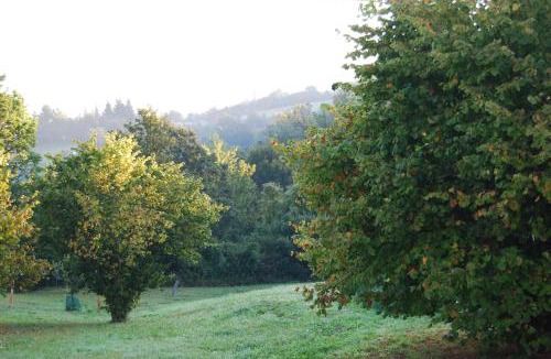 Albareto Apartment | Il Paradiso monolocale Cottage