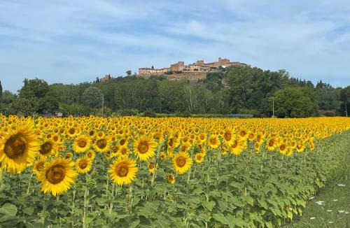Certaldo Alto Apartment | Il Vecchio Forno