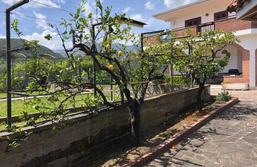 Madonna della Croce Villa | La Villa dei Limoni - Villa Panoramic with Pool