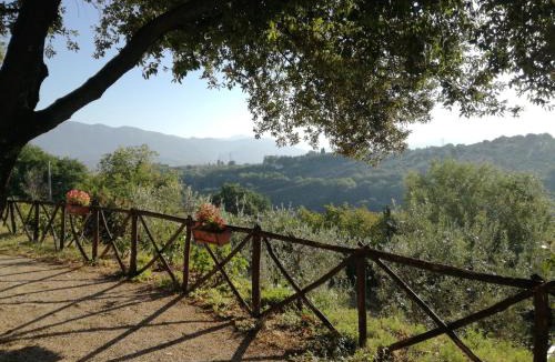 Collescipoli House | Le Storie di Bambu