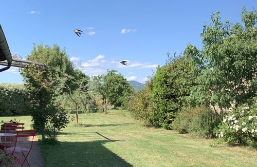 Orvieto Apartment | Milva's Nest Countryside