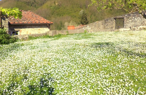 Nozanno House | Old mill in Tuscan countryside with pool and views just 30 minutes from Lucca