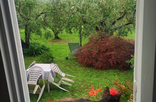 Zagarolo House | Olive Tree Hill Cottage | Peaceful Countryside Retreat Near Rome
