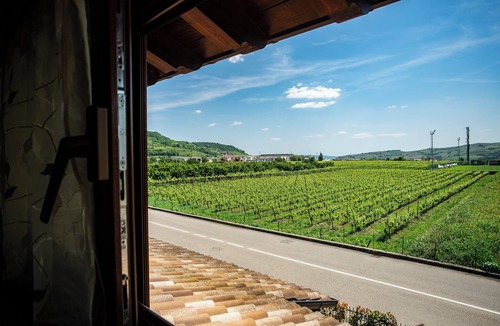 Montecchia di Crosara Apartment | Oliver House: Valley View Apt· Near Verona&Vicenza