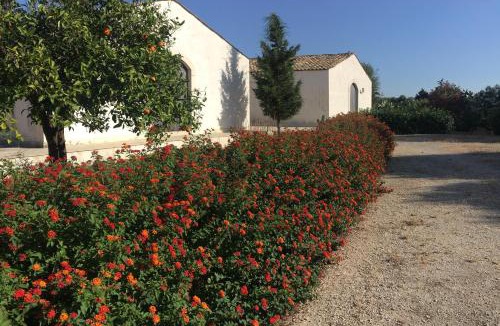 Syracuse House | Orecchie di Lepre