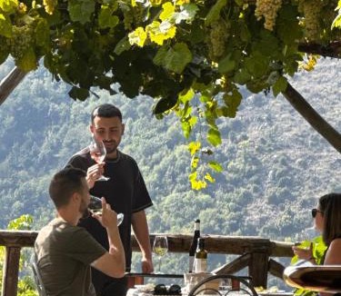 Campinola Bed & Breakfast | Reale Wine Resort
