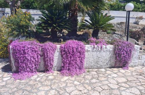 Italy Apartment | Roman villa Sofia villa by the sea Leporano