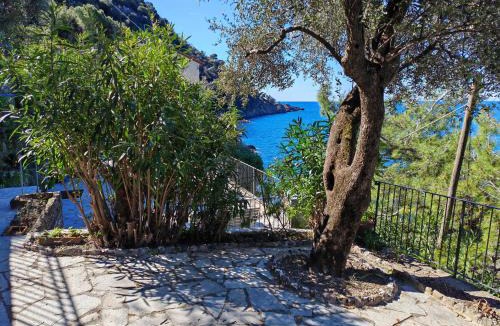 Mortola Apartment | Scogli Grossi - Paradiso nel parco di Portofino