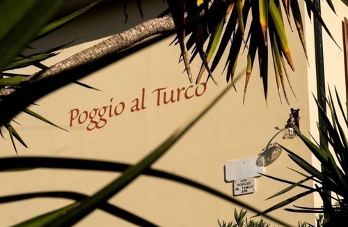 Suvereto Apartment | Vacation apartment/apartment for 4 guests with 30m² in Suvereto (176162)