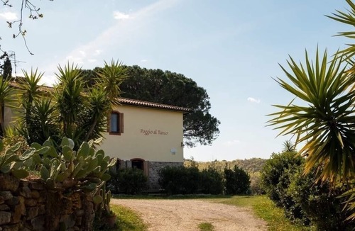 Suvereto Apartment | Vacation apartment/apartment for 4 guests with 30m² in Suvereto (176162)