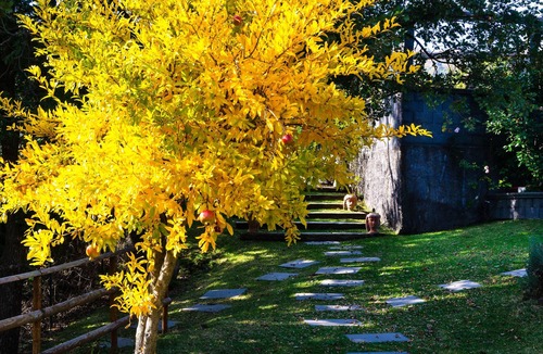 Mascali House | Villa del Gelso - Chalet in the Etna Park