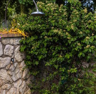Trivio Villa | Villa Privata con Giardino e Piscina