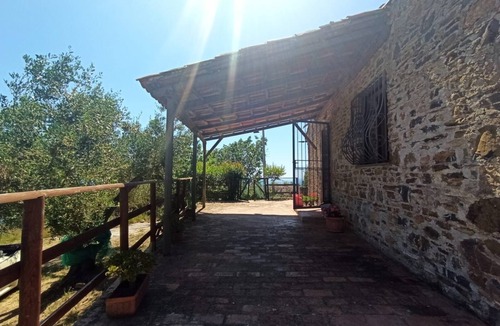 Ascea House | Villa surrounded by greenery 3km from the sea, guaranteed relaxation, pets allowed