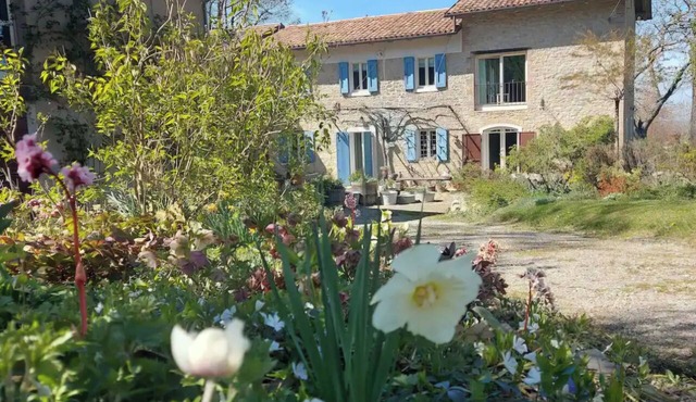 A charming stone house set in a hillside garden