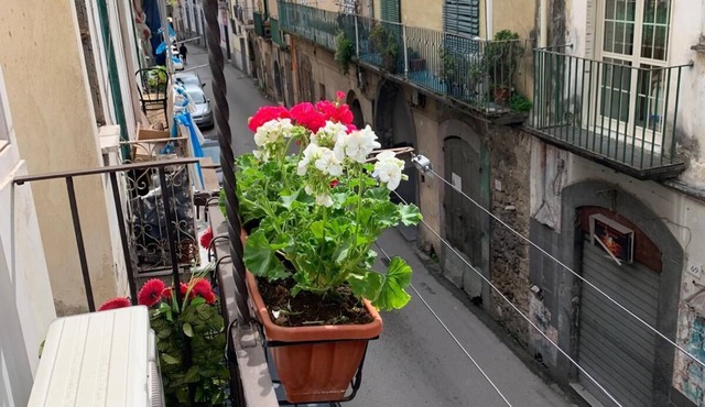 Apartment in the historic center