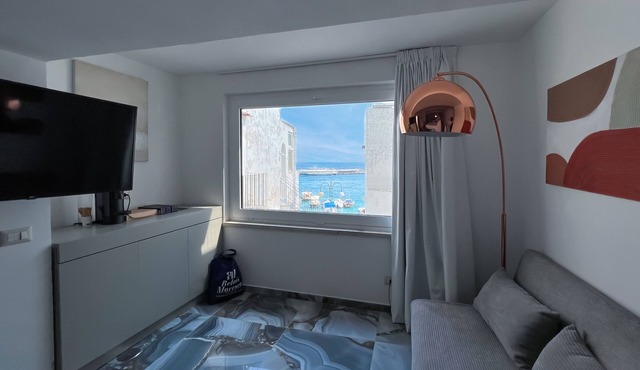 Brand new charming apartment harbor view
