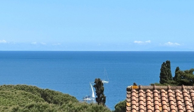 Capo d'Arco - Agrumeto