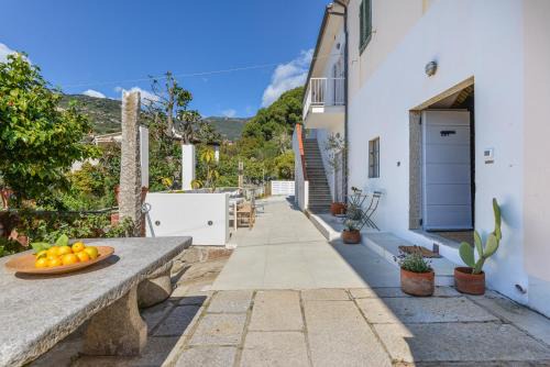 Casa Magnolia Loft