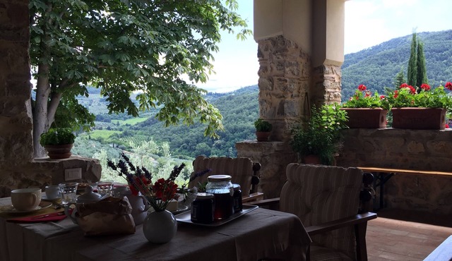 Farmhouse at 10 km from Florence (2)