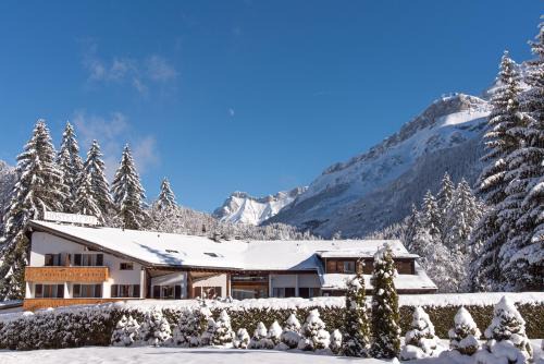 Hôtel Les Sources in Les Diablerets