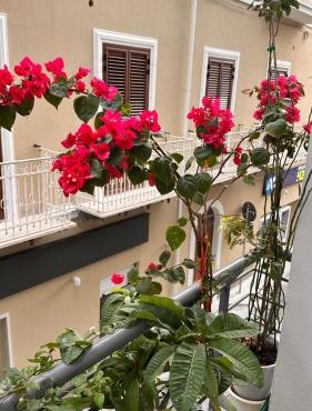 Home Sicilia
