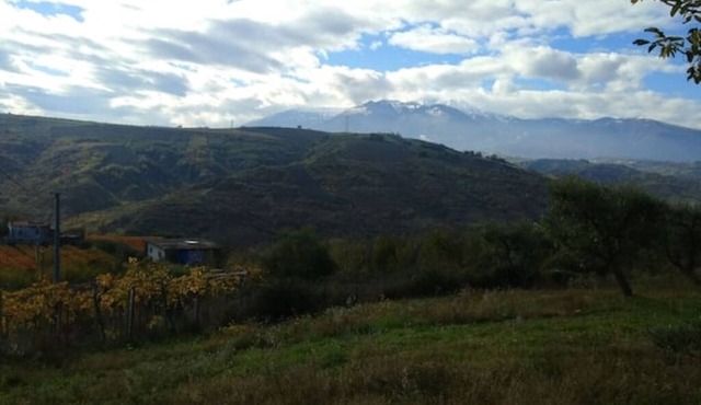 House with a view and pool "The Olive Tree"