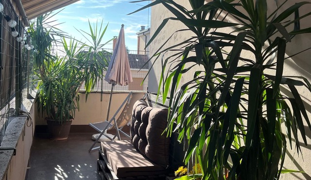Nice and quiet penthouse Ci 14