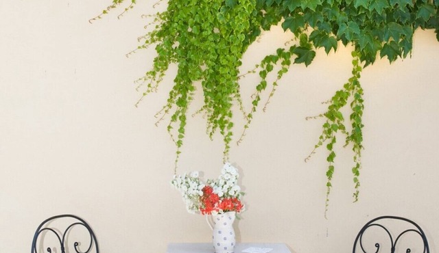 Potrero Grande - Hazelnut Apartment